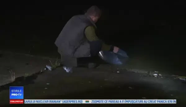 12.000 de puieţi de șalău, eliberaţi în Jiu. Pescarii: “Un vis împlinit”