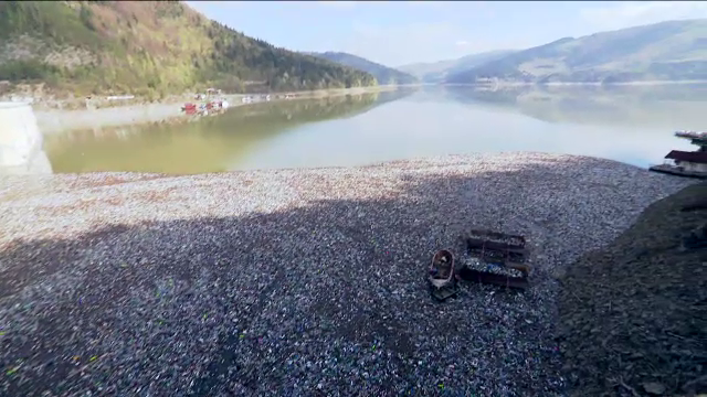 POLUAŢI DE INCOMPETENŢĂ