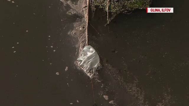 POLUAŢI DE INCOMPETENŢĂ