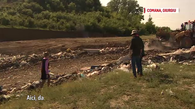 POLUAŢI DE INCOMPETENŢĂ