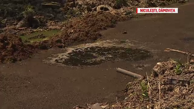 POLUAŢI DE INCOMPETENŢĂ