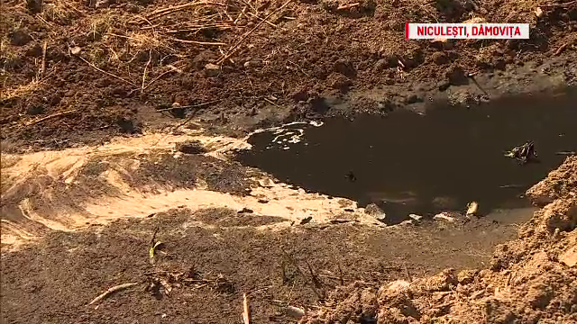 POLUAŢI DE INCOMPETENŢĂ