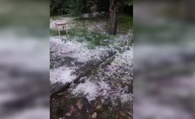 Prăpăd în Argeș după 15 minute pe grindină. Pomii fructiferi au fost distruși