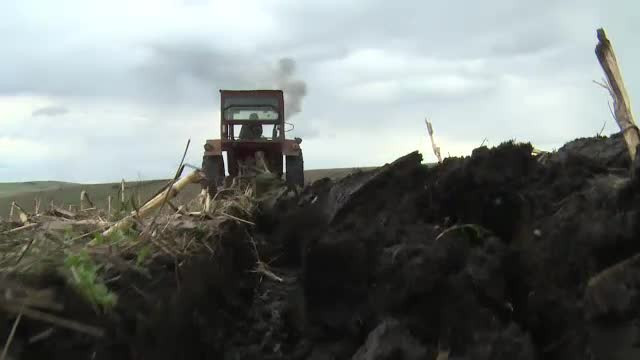 Agricultura României, în cădere pentru că nu sunt lucrători: "Salariile sunt mici”