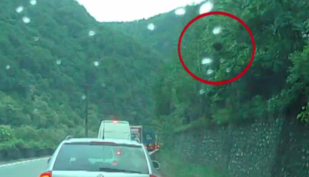 Pericol pe Valea Oltului. Întâmplarea prin care a trecut un șofer cu 2 copii în mașină