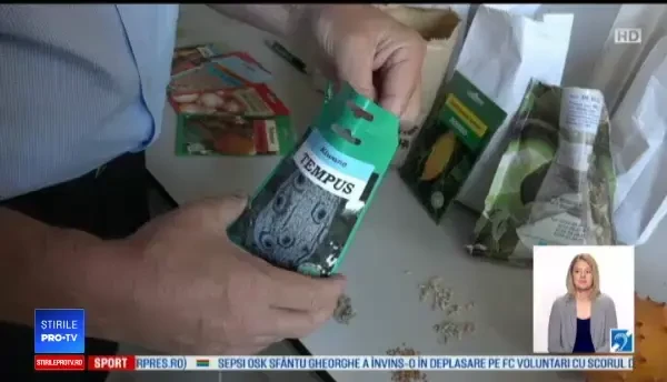 Ce simbolizează darul premierului Dăncilă pentru Papa Francisc