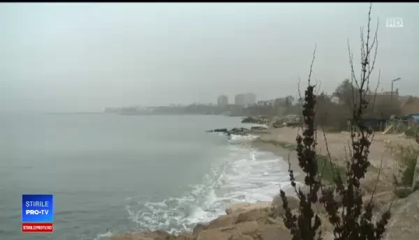 Interdicție pentru pescari privind recoltarea rapanelor din Marea Neagră