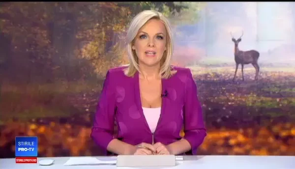 Intervenție neobișnuită în Pitești. Jandarmii au ajutat un pui de căprioară căzut în apă