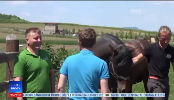 Viața la țară, o atracție turistică tot mai frecventă printre orășeni