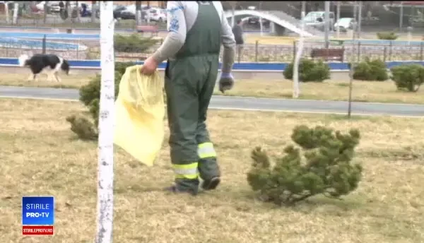 Carmen Dan vrea pușcărie pentru românii care nu-și plătesc amenzile