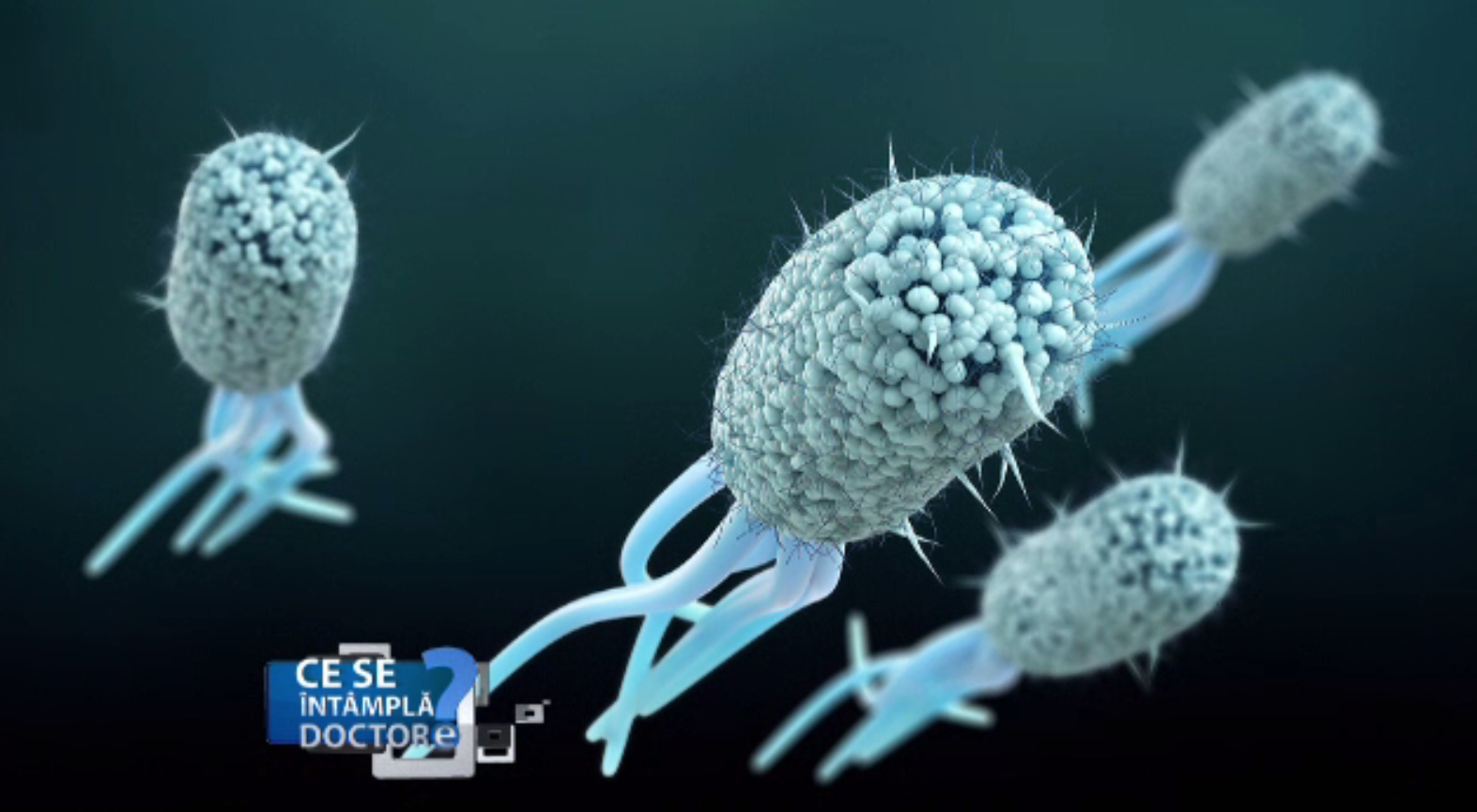 Infecțiile urinare repetate pot avea drept cauză bacteria E-coli