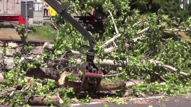 Vântul în rafale puternice a doborât un copac peste un autobuz în Braşov, în centrul oraşului