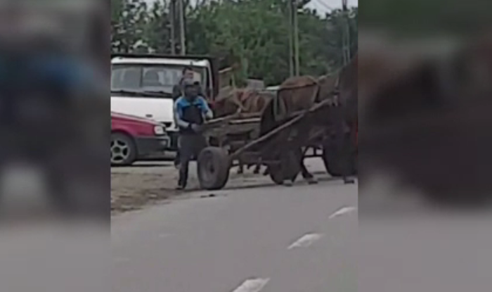 Imagini revoltătoare în Neamț. Doi bărbați, filmați în timp ce își loveau caii înhămați