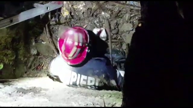 Momentul în care trei căței sunt salvați de pompieri dintr-un canal