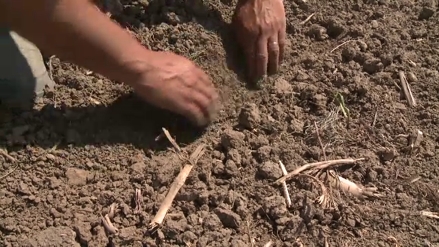 Fermierii nu mai așteaptă mila cerului și încep să-și improvizeze sisteme de irigații