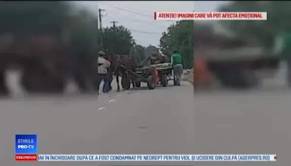 Imagini revoltătoare în Neamț. Doi bărbați, filmați în timp ce își loveau caii înhămați