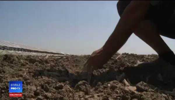 Fermierii nu mai așteaptă mila cerului și încep să-și improvizeze sisteme de irigații