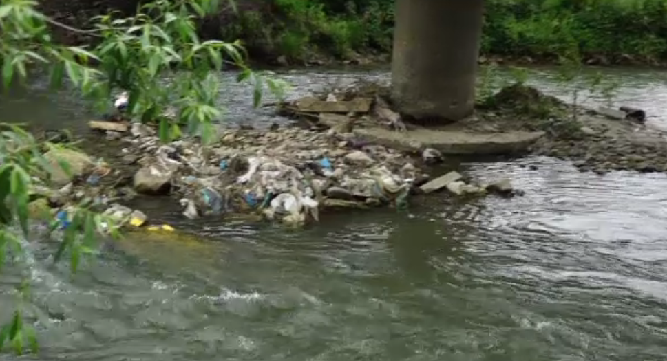 Poluarea de pe râul Vișeu îi exasperează pe localnici. Primarul comunei spune că nu știe nimic