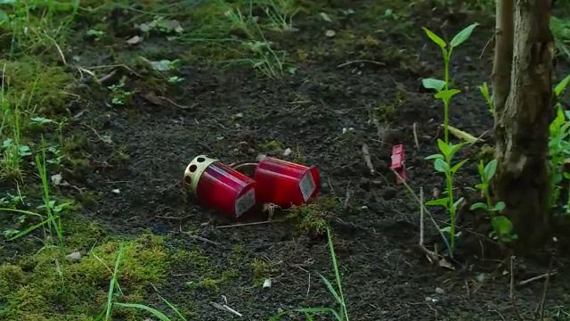 Doi muncitori, acuzați că au jefuit și sechestrat un student indian. Victima a murit