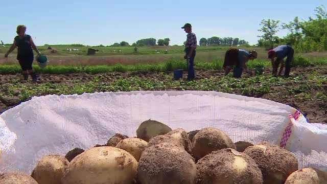 Vești rele. Crește prețul unuia dintre cele mai consumate alimente de către români