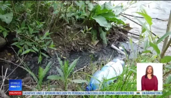 Poluarea de pe râul Vișeu îi exasperează pe localnici. Primarul comunei spune că nu știe nimic