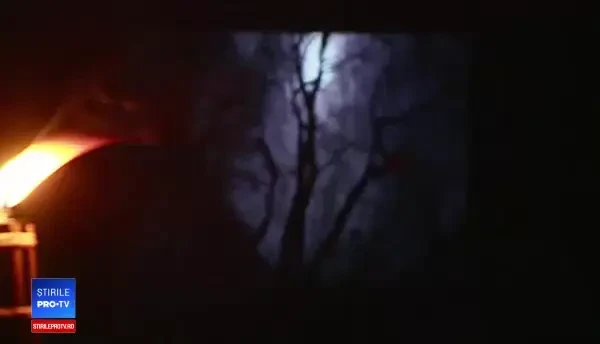 Documentar despre Pădurea Hoia Baciu, locul plin de mister pe care l-a promovat Alice Cooper