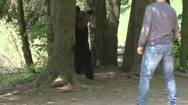 Ursul Șoni din Harghita a mușcat o turistă din Ungaria, care voia un selfie cu el