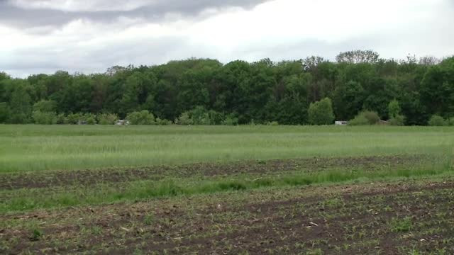 Statul român le oferă 50.000 de euro tinerilor români care vor să devină fermieri