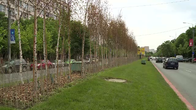 Amenajarea de 200.000 de euro din mijlocul unui bulevard din Sectorul 3. R. Negoiță: ”Ce, e mult?!”