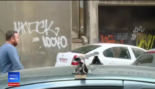 Șirul greșelilor în cazul copilului de 3 ani, mort. Lipsesc elemente importante din anchetă