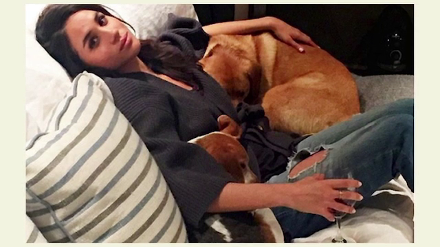 Câinele lui Meghan Markle, ultimul ”membru” al familei regale. A mers în mașina Reginei