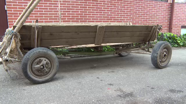 Opt mașini din Târgu Jiu, avariate de un cal înhămat la o căruță