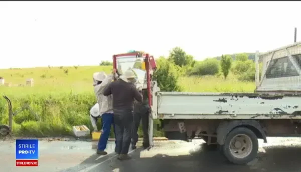 O mașină cu 80 de stupi s-a răsturnat, pe lângă Deva. Șoferii, în pericol