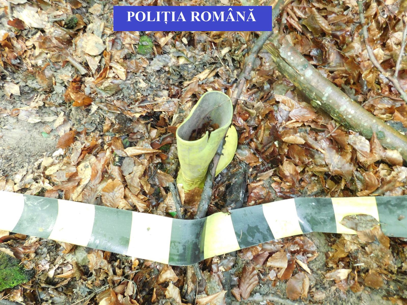 Doi ciobani din Olt, găsiți fără viață pe câmp. Principalii suspecți, alți ciobani