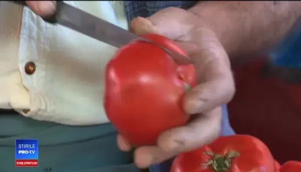 90% din roșiile din pieţe provin din seminţe din străinătate. Cum am ajuns în această situație