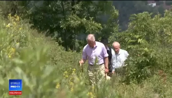 Tablouri cu plantele din Transilvania au ajuns în colecția de artă a Casei Regale Britanice