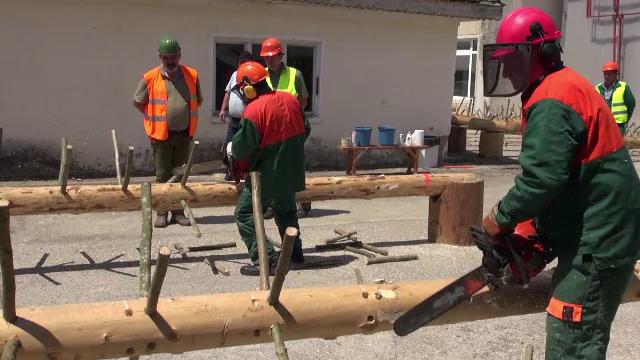 Concurs de mânuit drujba, la Bacău. Ce va primi câștigătorul