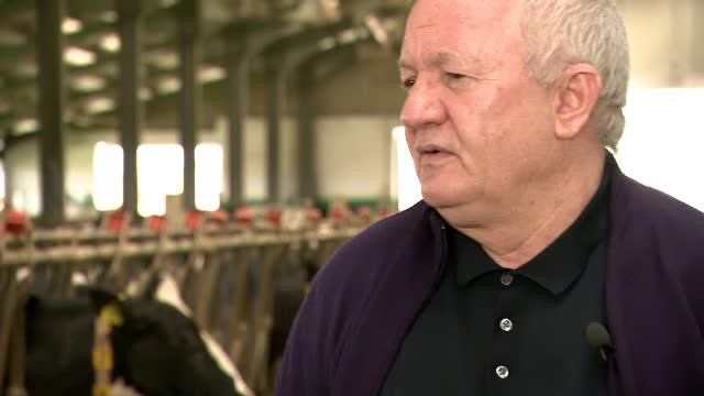 Cum s-a prăbușit un imperiu românesc de sute de milioane de euro. Interviu cu Adrian Porumboiu