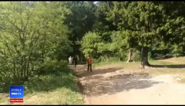 Ursul Șoni, de la Lacul Sf. Ana, mutat în rezervația din Zărnești. Cine i-a luat locul