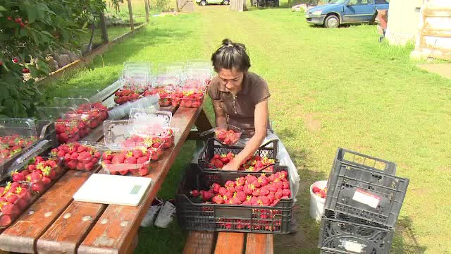 Terapie prin horticultură. De ce este bine să muncim cât mai mult într-o grădină