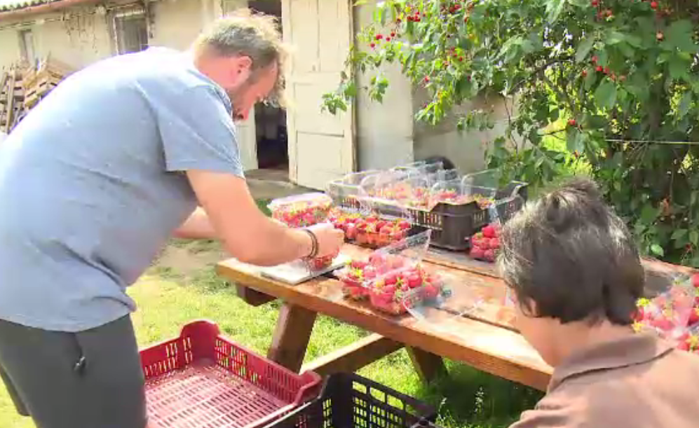 Avantajele pe care le au producătorii de fructe și legume care se asociază