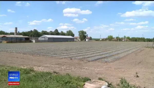 Reglementări stricte impuse de UE pentru produsele bio. Fermierii mici, avantajați