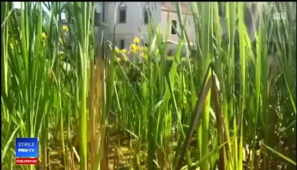 Castele din Transilvania, deschise circuitului turistic. Suma la care se ridică un ”sejur aristocratic”