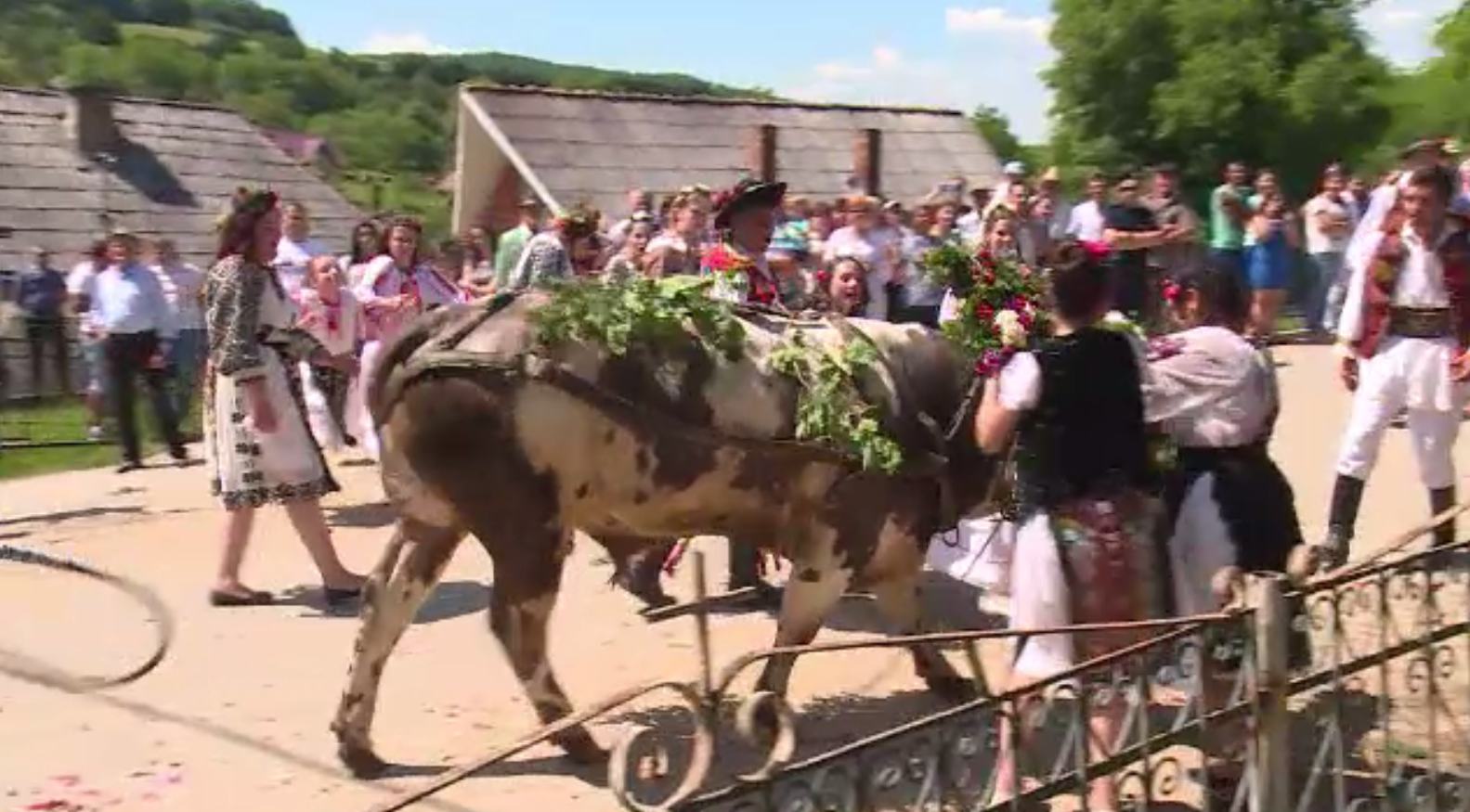 Tradiții și obiceiuri de Rusalii. Ce trebuie să facă fetele din Cluj pentru a se mărita