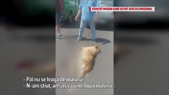 Explicaţia bărbatului care și-a târât câinele pe șosea: ”Nu avea loc în mașină”
