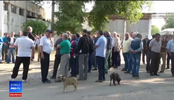 Șase zile de grevă a societății de transport în comun din Brăila. Șoferii fac acuzații grave