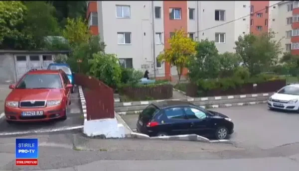 Planul autorităților pentru urșii care vin în oraș: mai multe mușuroaie și zmeură