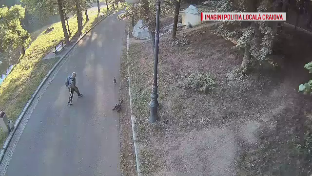 Operațiune complexă a polițiștilor locali din Craiova, după furtul unei rațe sălbatice din parc