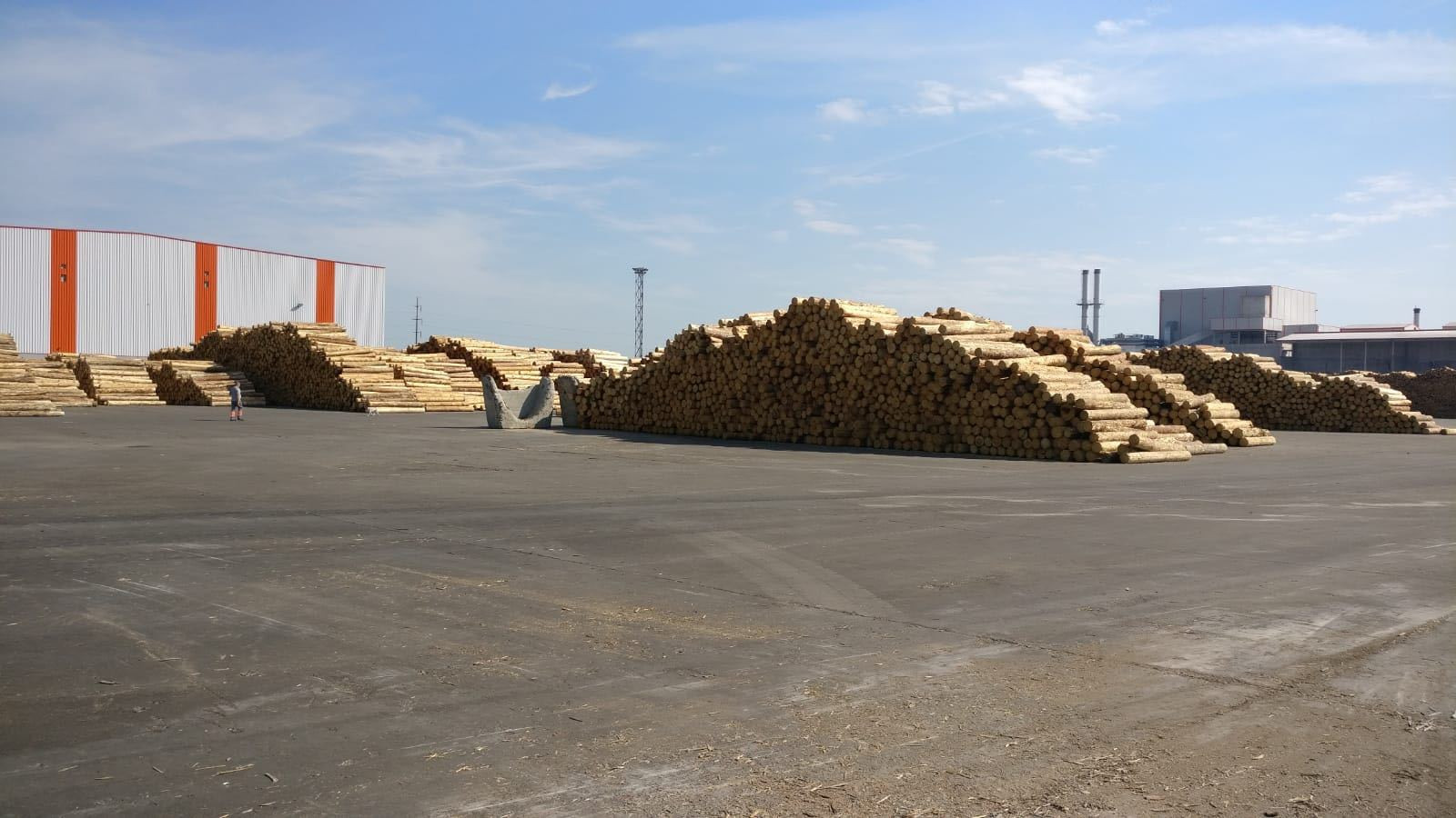 perchezitii lemn - 6