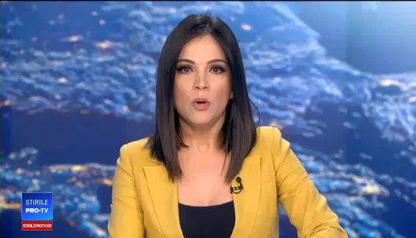 Percheziții DIICOT la cel mai mare exportator de lemn: Holzindustrie Schweighofer